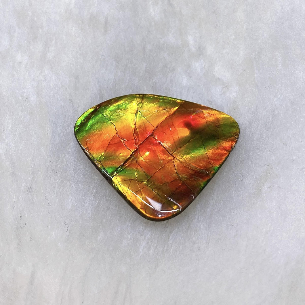 Freeform Ammolite FNA23205