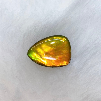 Freeform Ammolite Gemstone FNA0395