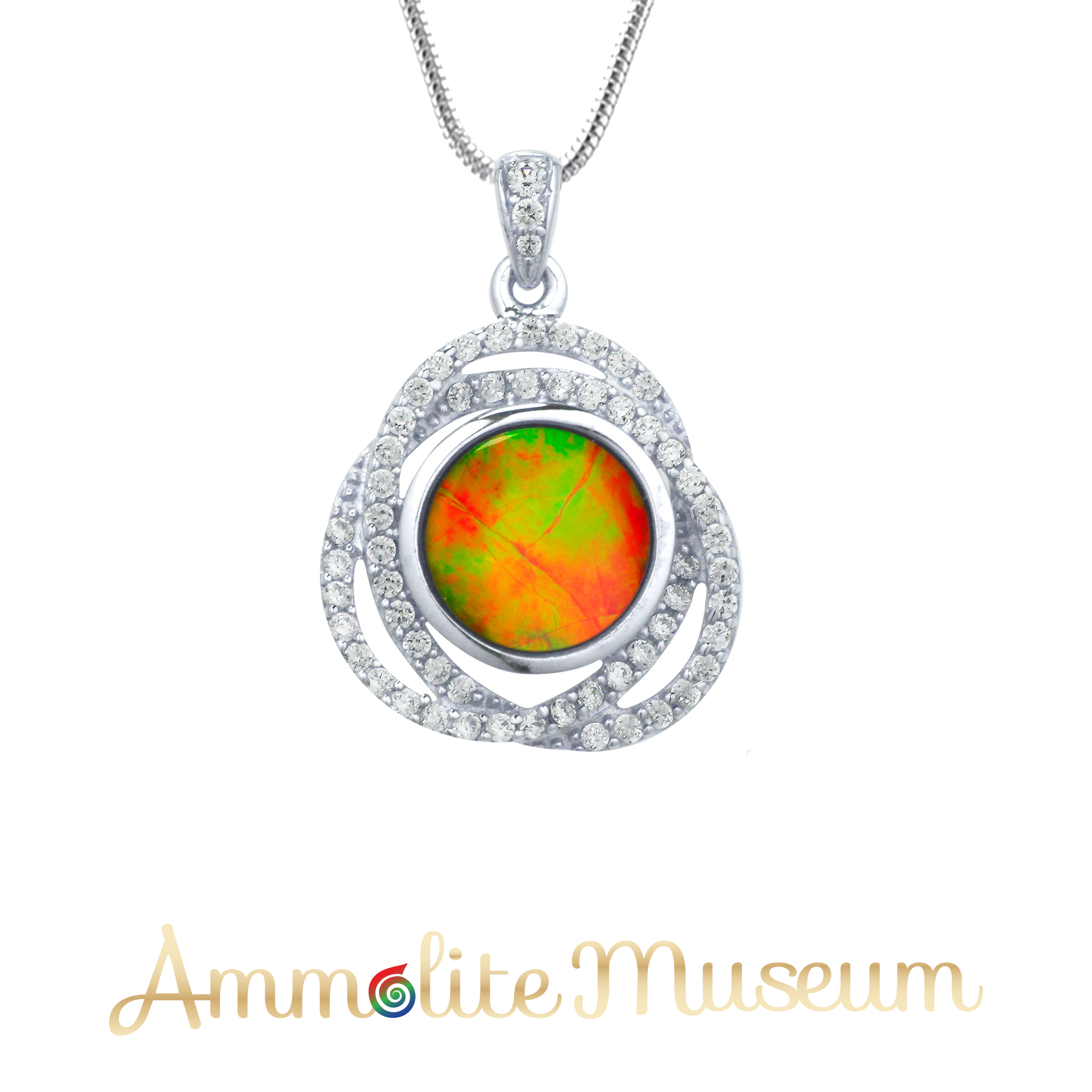 Classic Aurora™ – Ammolite Museum