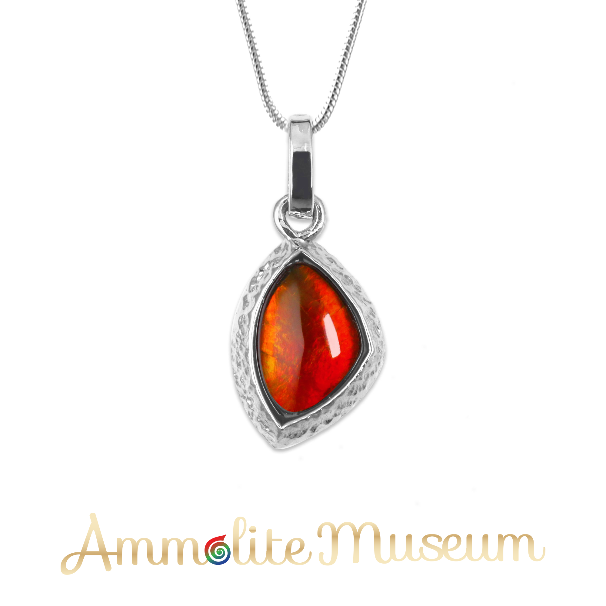 Classic Aurora™ – Ammolite Museum