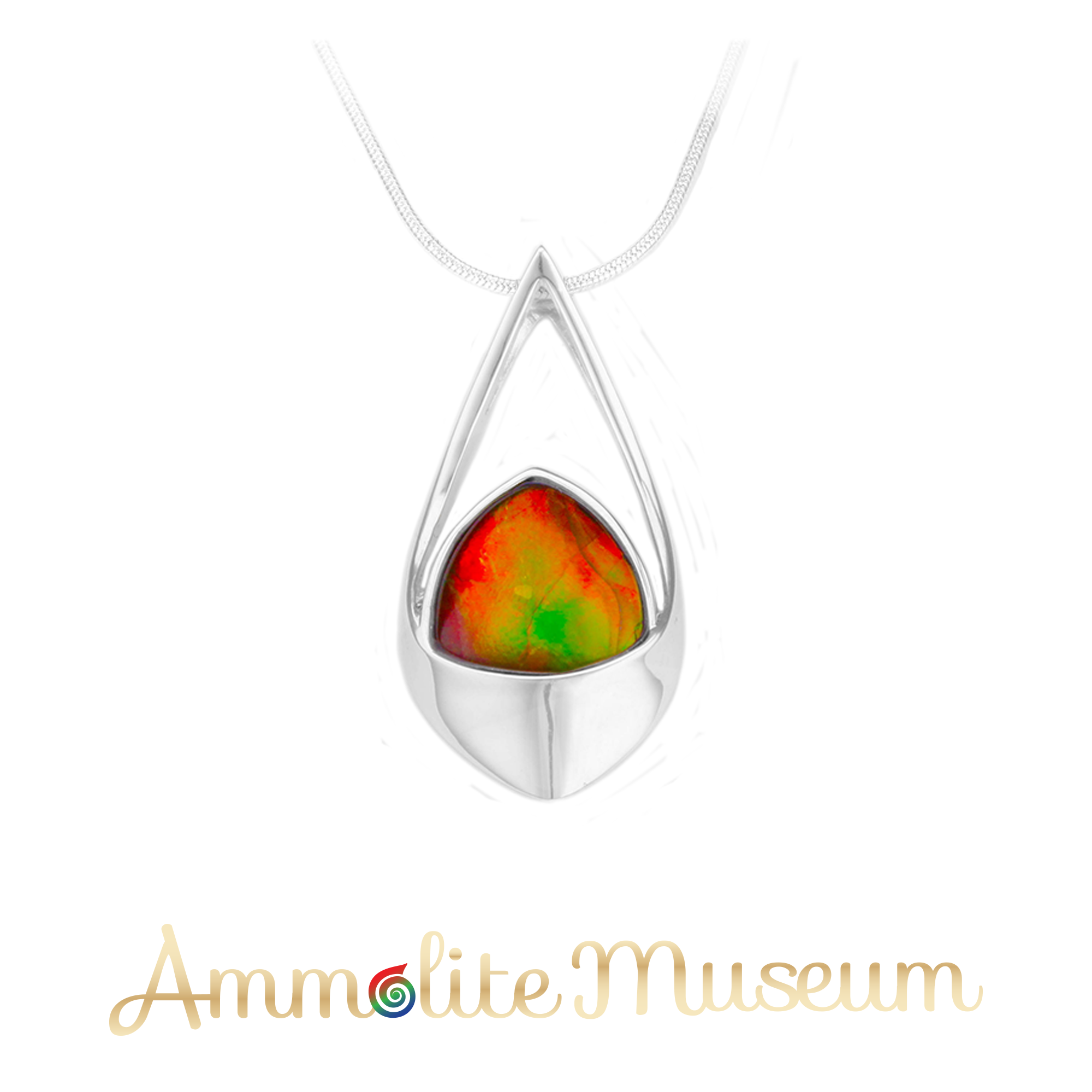 Classic Aurora™ – Ammolite Museum