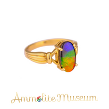 将图片加载到图库查看器，AURORA 14K Yellow Gold Oval Ammolite Ring
