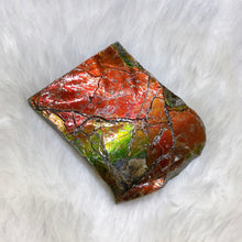 将图片加载到图库查看器，Ammolite Hand Specimens FNGS2230
